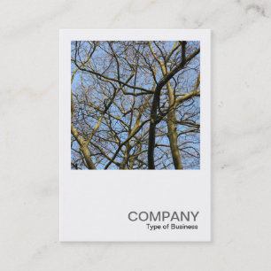 Tarjeta De Visita Square Photo 0384 - Branches