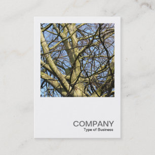 Tarjeta De Visita Square Photo 0386 - Branches