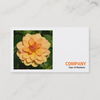 Tarjeta De Visita Square Photo (v3) - Dahlia 'David Howard'