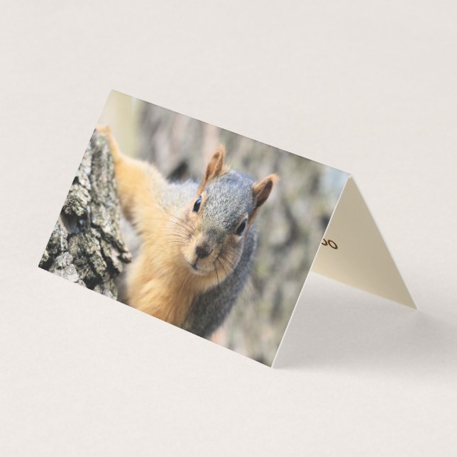 Tarjeta De Visita Sr. Cutie (Anverso)