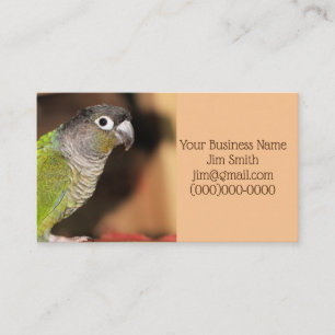 Tarjeta De Visita Sr. Oliver