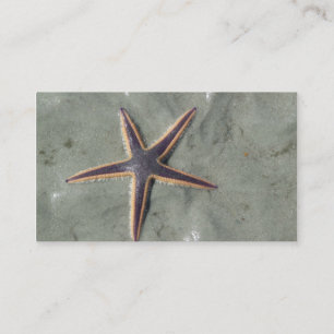 Tarjeta De Visita Starfish