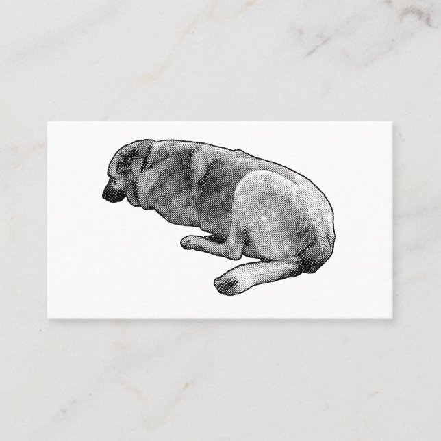 Tarjeta De Visita Steady Even in Stillness (Anverso)