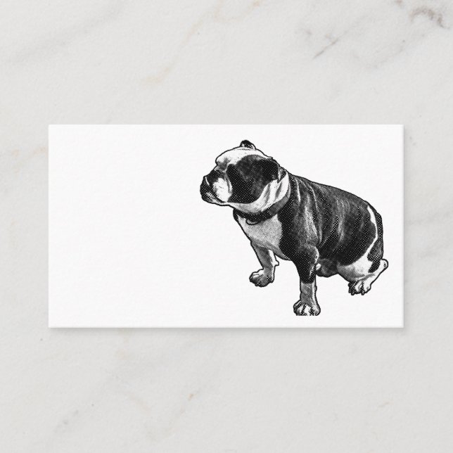 Tarjeta De Visita Steady Is Enough (Anverso)