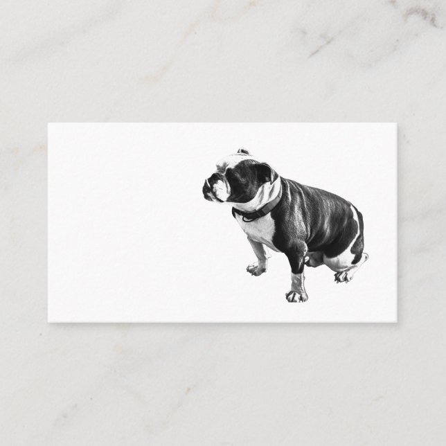 Tarjeta De Visita Steady Without Hurry (Anverso)