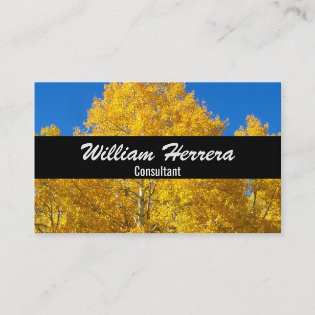 Tarjeta De Visita Su plantilla de fotografía Diseño elegante negrita (Anverso)