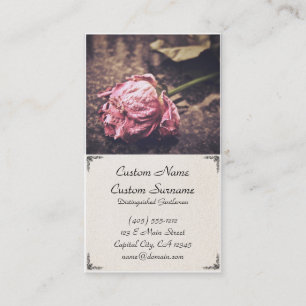 Tarjeta de visita subió rosa secada vieja del