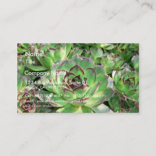 Tarjeta De Visita Succulents (Anverso)