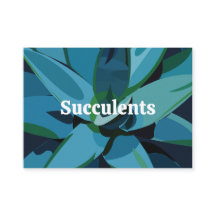 Suculentos Cactus Agave Azul