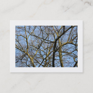 Tarjeta De Visita Sucursales (bordadas)