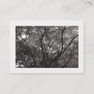 Tarjeta De Visita Sucursales de Japón 02