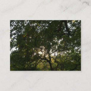 Tarjeta De Visita Sucursales de Japón 04