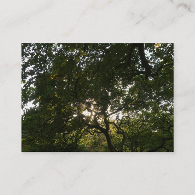 Tarjeta De Visita Sucursales de Japón 04 (Anverso)