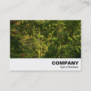 Tarjeta De Visita Sucursales de Japón 05