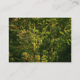 Tarjeta De Visita Sucursales de Japón 05