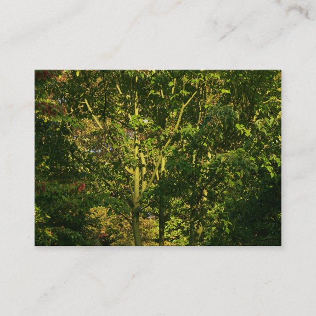 Tarjeta De Visita Sucursales de Japón 05 (Anverso)