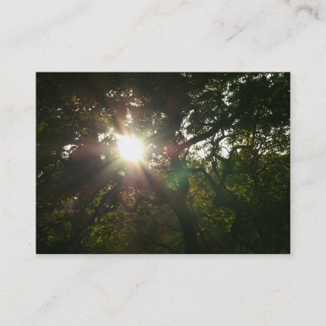 Tarjeta De Visita Sucursales de Japón 07 (Anverso)