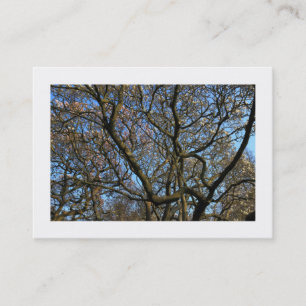 Tarjeta De Visita Sucursales de Magnolia en primavera temprana (bord