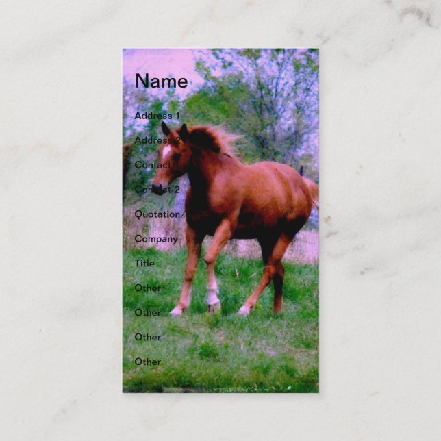 Tarjeta De Visita Sueños de primavera, trotamundos de acedera (Anverso)