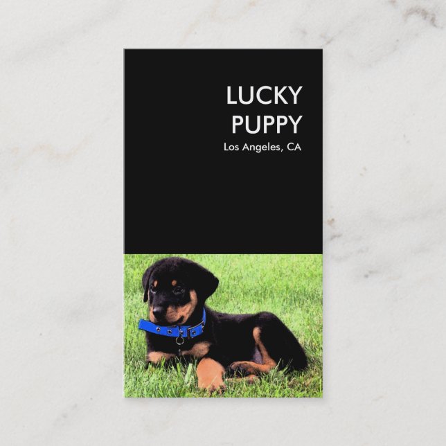 Tarjeta De Visita suertuda compañía de perros cachorros (Anverso)