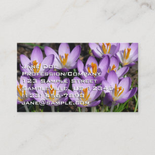 Tarjeta De Visita Sunny Purple Crocuses