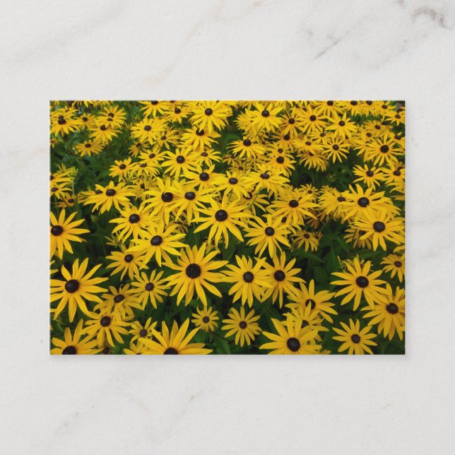 Tarjeta De Visita Susans de ojos negros (Rudbeckia Hirta) (Anverso)