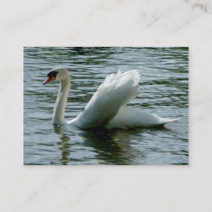 Tarjeta De Visita Swan