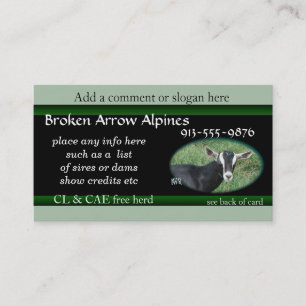 Tarjeta De Visita Tarjeta-personalizar del negocio de Chester él