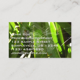 Tarjeta De Visita Telaraña en hojas tropicales de la naturaleza