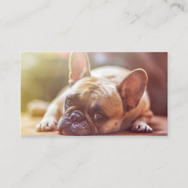 Tarjeta De Visita tendido de bulldog francés (Anverso)