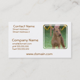 Tarjeta De Visita Terrier irlandés lindo
