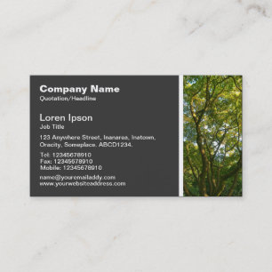 Tarjeta De Visita Textura Tono - Árbol de Magnolia