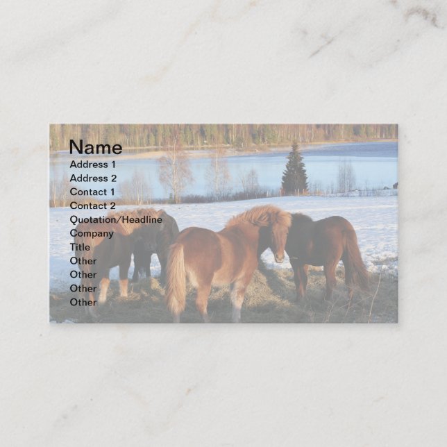 Tarjeta De Visita Tiempo de alimentación (Anverso)