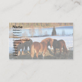 Tarjeta De Visita Tiempo de alimentación