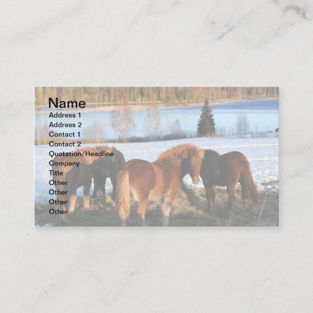 Tarjeta De Visita Tiempo de alimentación (Anverso)