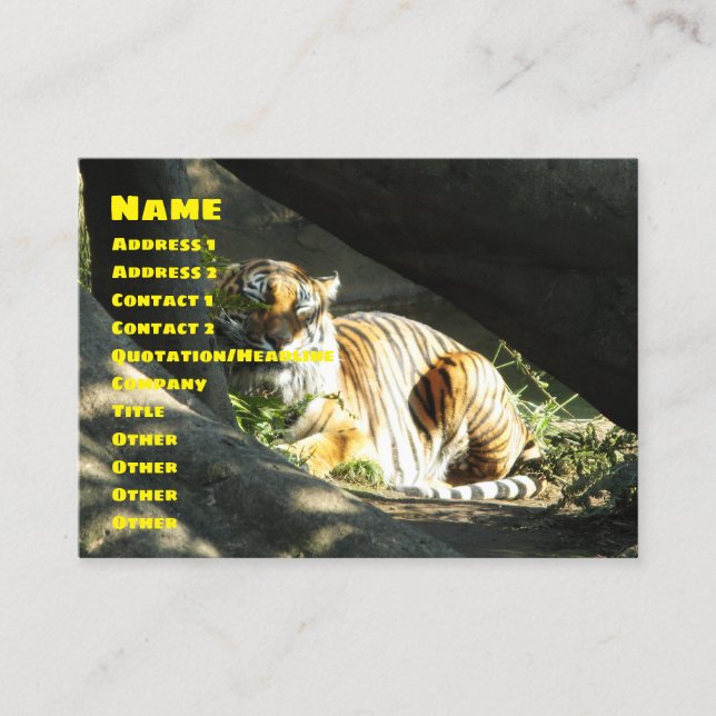 Tarjeta De Visita Tiger Catnap (Anverso)