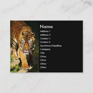 Tarjeta De Visita tigre