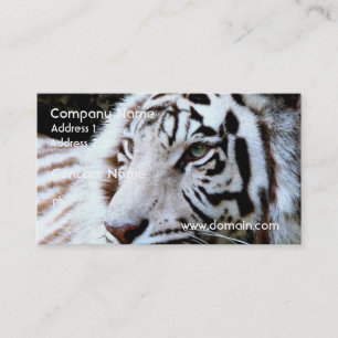 Tarjeta De Visita Tigre blanco hecho frente dulce
