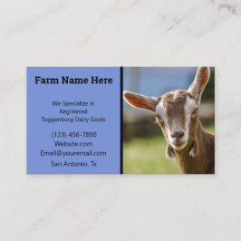 Tarjeta De Visita Togenburg Dairy Goat Kid
