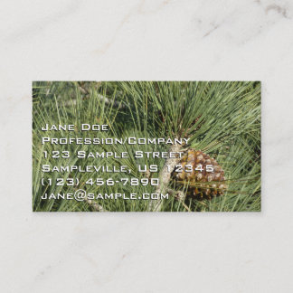 Tarjeta De Visita Torrey Pine Closeup California Botanical