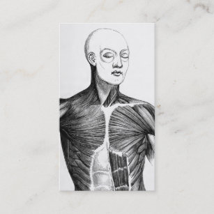 Tarjeta De Visita Torso de la anatomía el   B/W del vintage (circa
