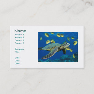 Tarjeta De Visita Tortuga de mar verde, nombre, dirección 1,