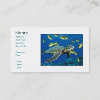 Tarjeta De Visita Tortuga de mar verde, nombre, dirección 1,