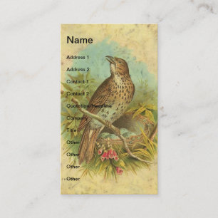 Tarjeta De Visita Tramo de cosecha