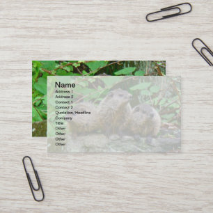 Tarjeta De Visita Tres Baby Groundhogs
