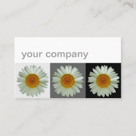 Tarjeta De Visita Tres florales modernos de las margaritas blancas