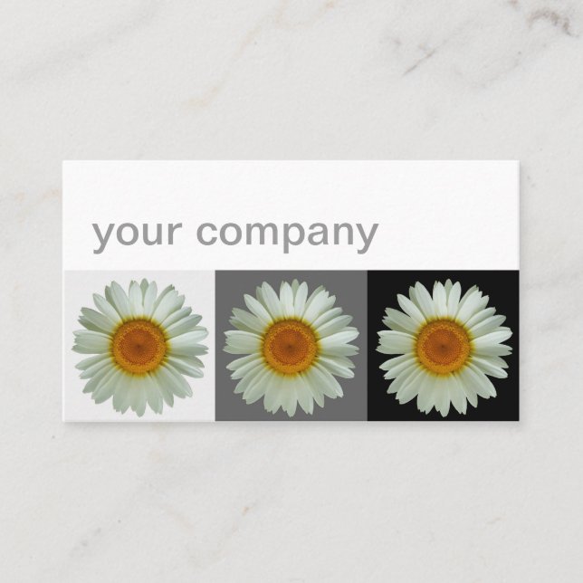 Tarjeta De Visita Tres florales modernos de las margaritas blancas (Anverso)
