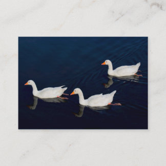 Tarjeta De Visita Tres Geese Emden