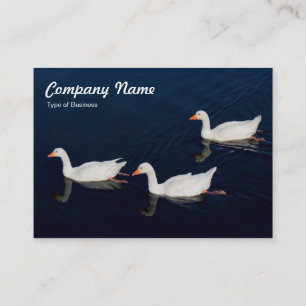 Tarjeta De Visita Tres Geese Emden