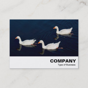 Tarjeta De Visita Tres Geese Emden